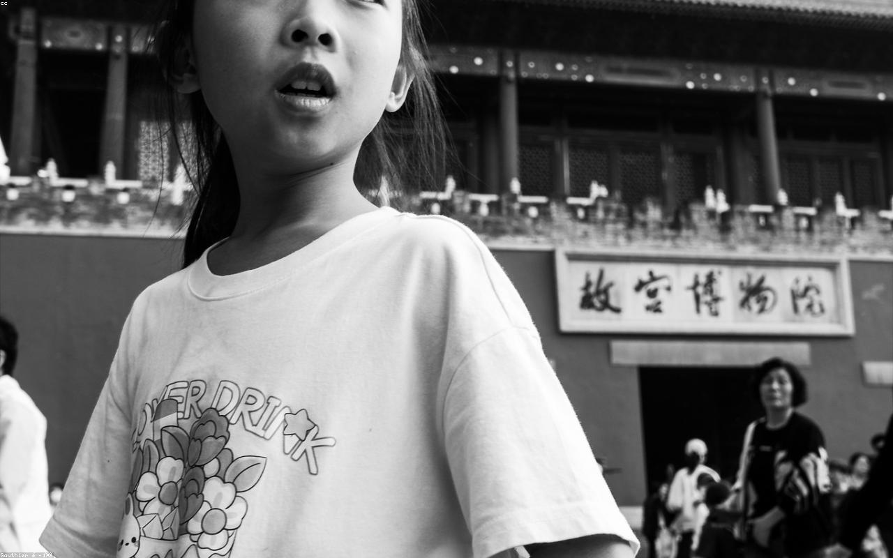 View of the Forbidden City from Jingshan Park