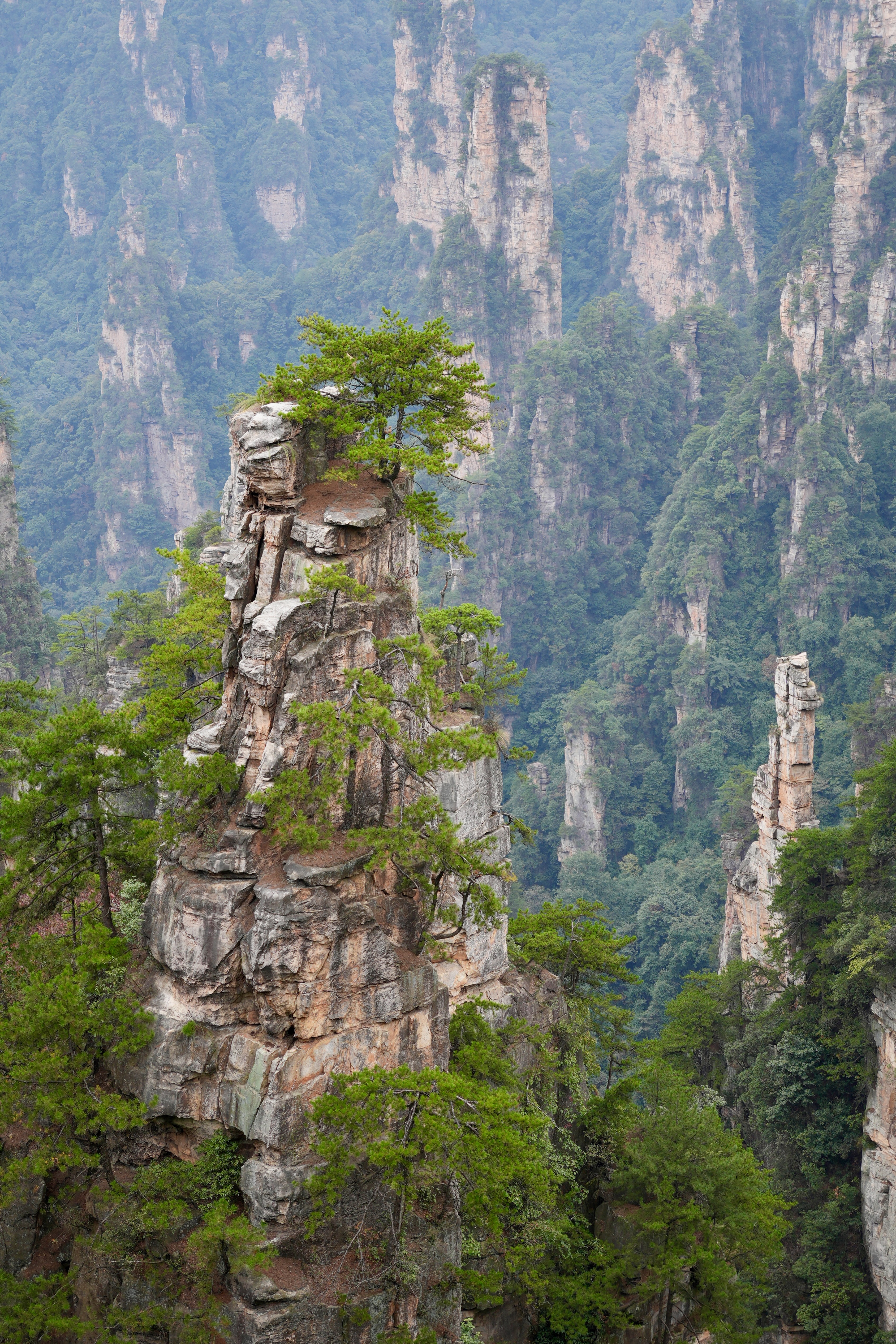 Sandstone pillars in Zhangjiajie National Forest Park